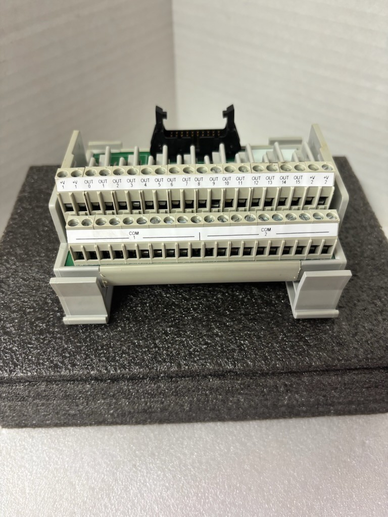 Allen Bradley 1492-IFM20F-F120A-2, 16 Channel Fusible Interface Module, Ser. C