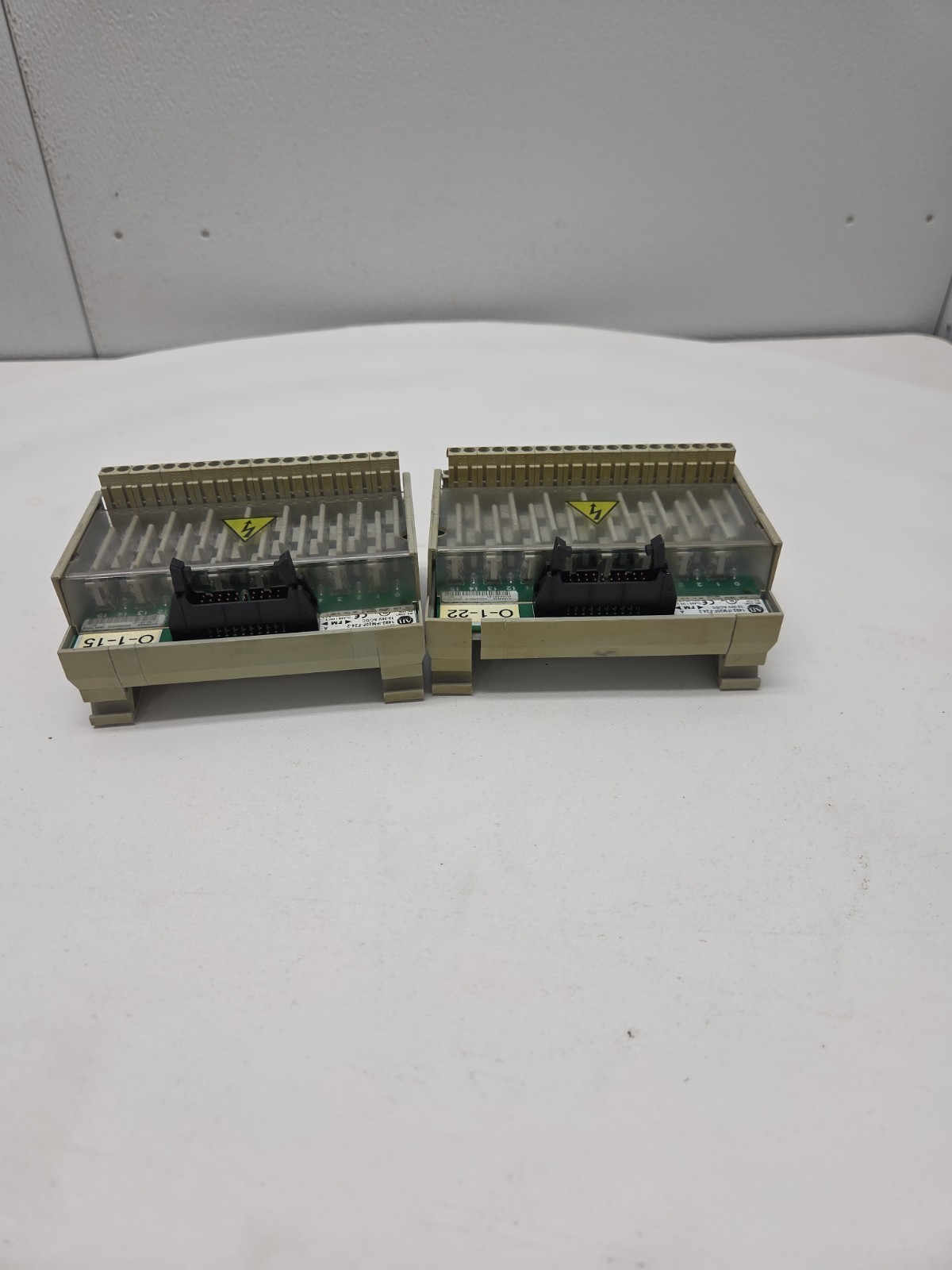 Allen Bradley 1492-IFM20F-F24-2 Ser A 20-Pt Fusible Digital IFM 10-30V AC/DC 2X